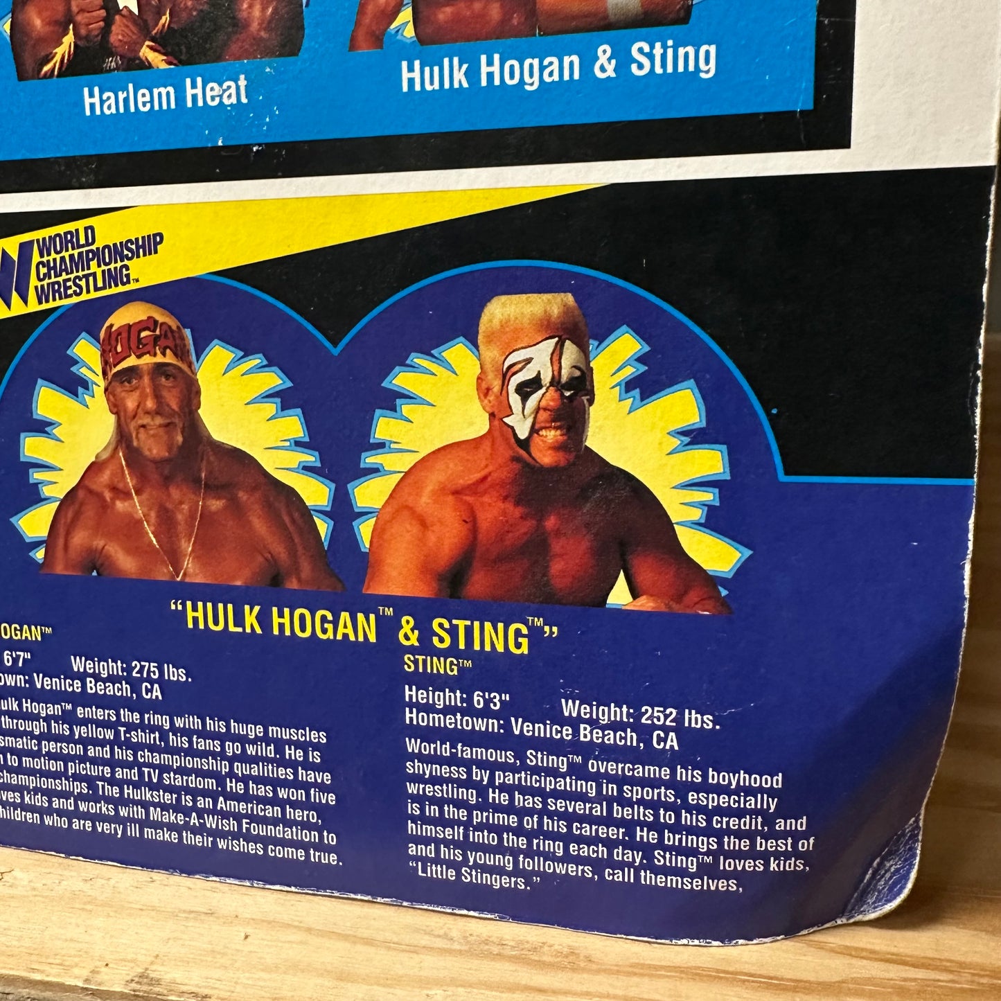 1994 WCW Hulk & Sting Wrestling Action Figure Toy 2-Pack WWE
