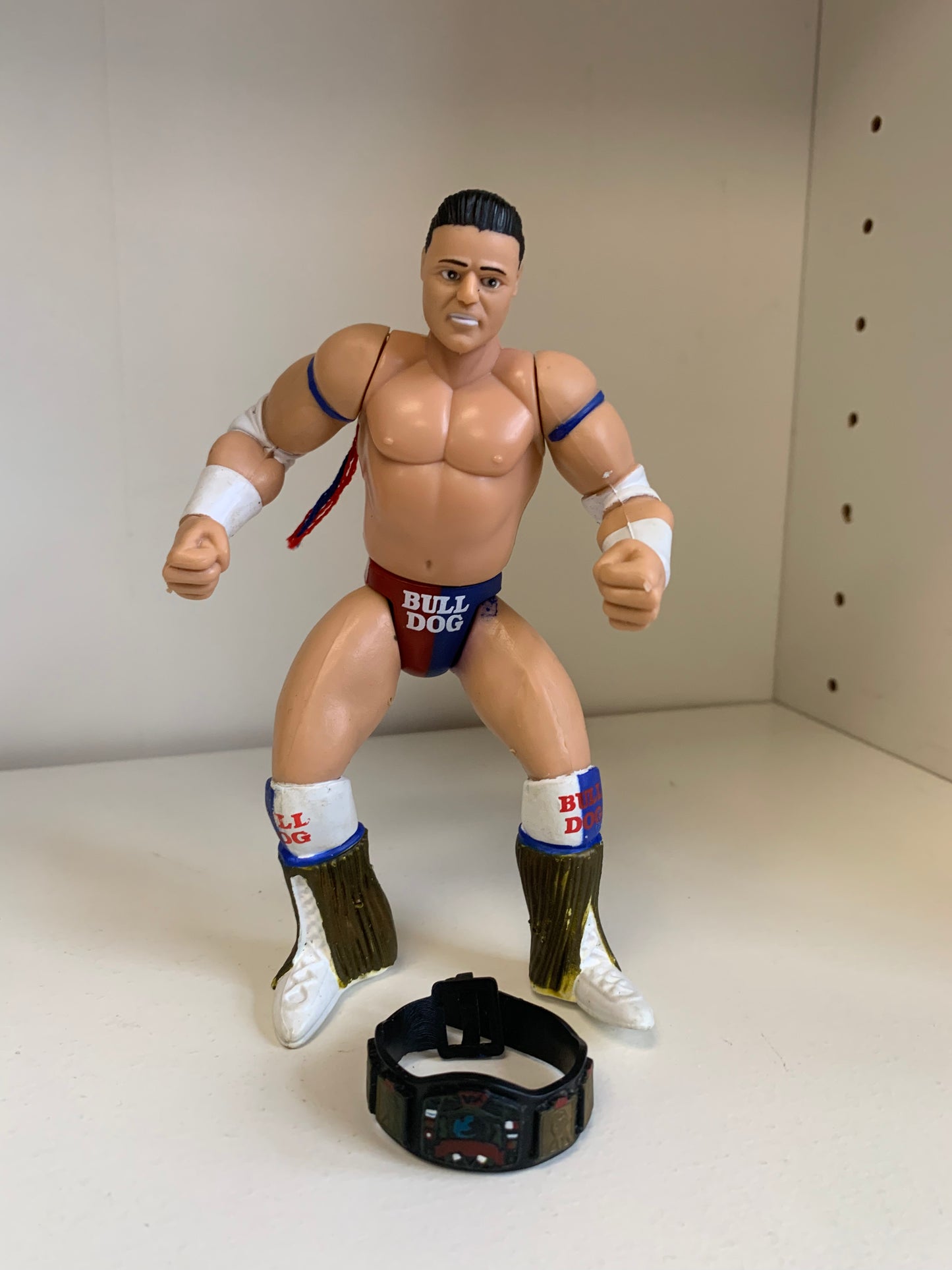 WWE Championship Title Series British Bulldog