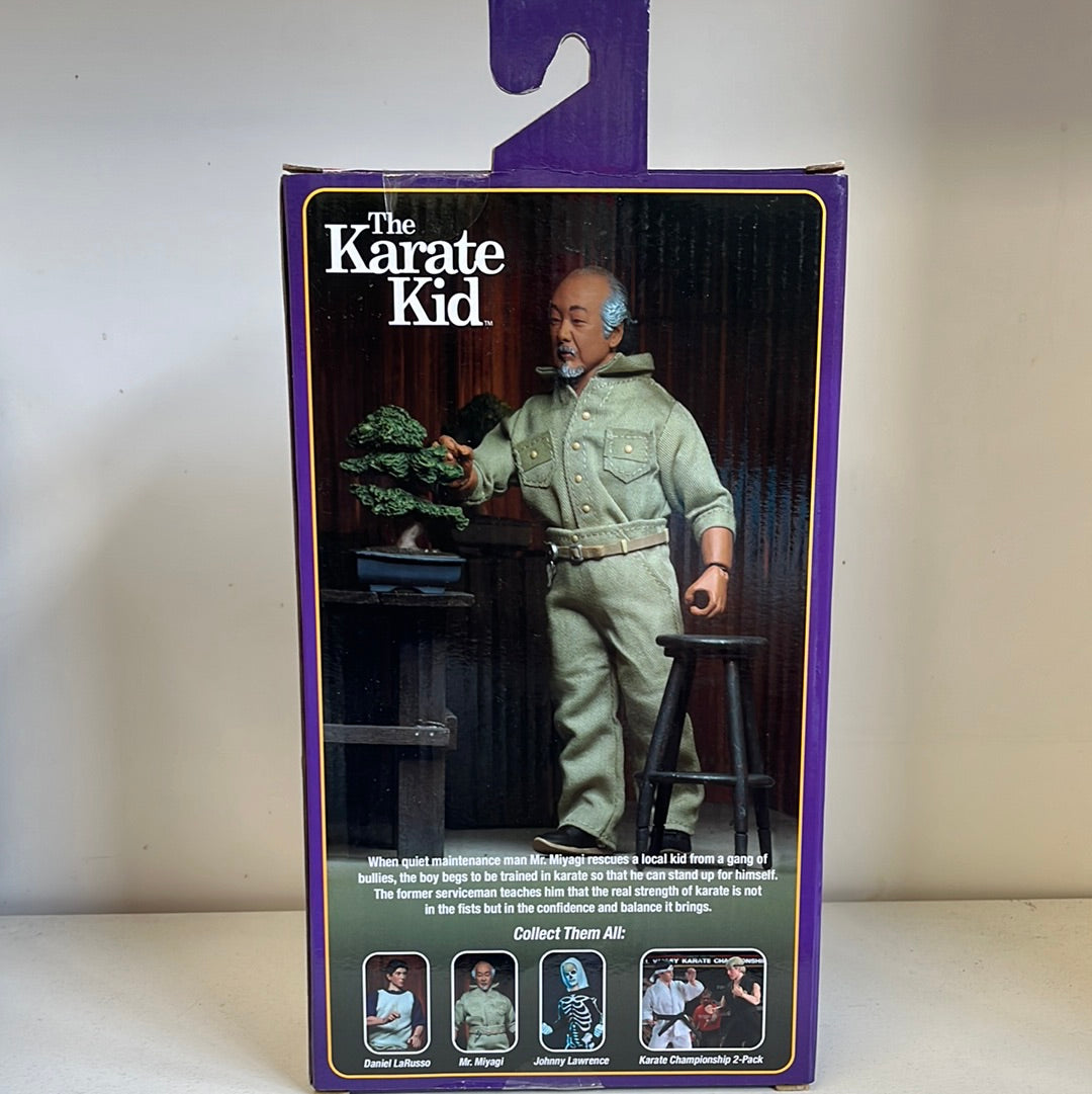 Karate Kid Mr. Miyagi