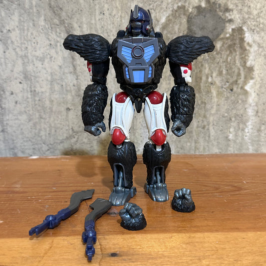 Optimal Prime R.E.D. generations complete Transformers