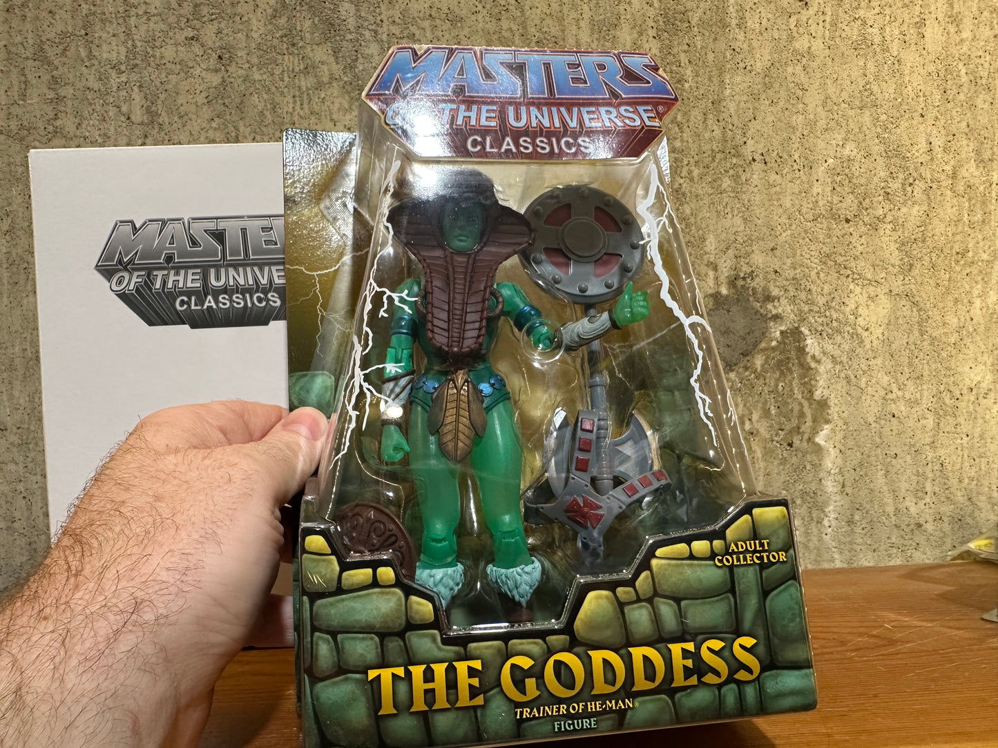 The Goddess Mattel Master’s of the Universe Classics MOTU Sealed Action Figure Toy
