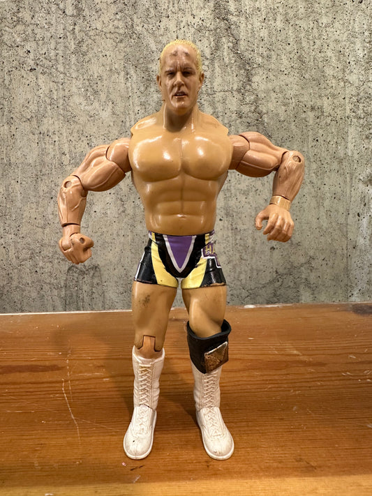 Hardcore Holly WWE Jakks Ruthless Aggression Action Figure